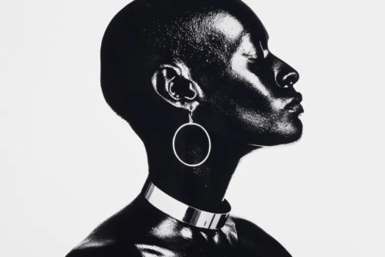 “Model Pat Evans,” 1971, Anthony Barboza, pigment print. Detroit Institute of Arts