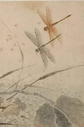 Rectangular image with dragonflies  