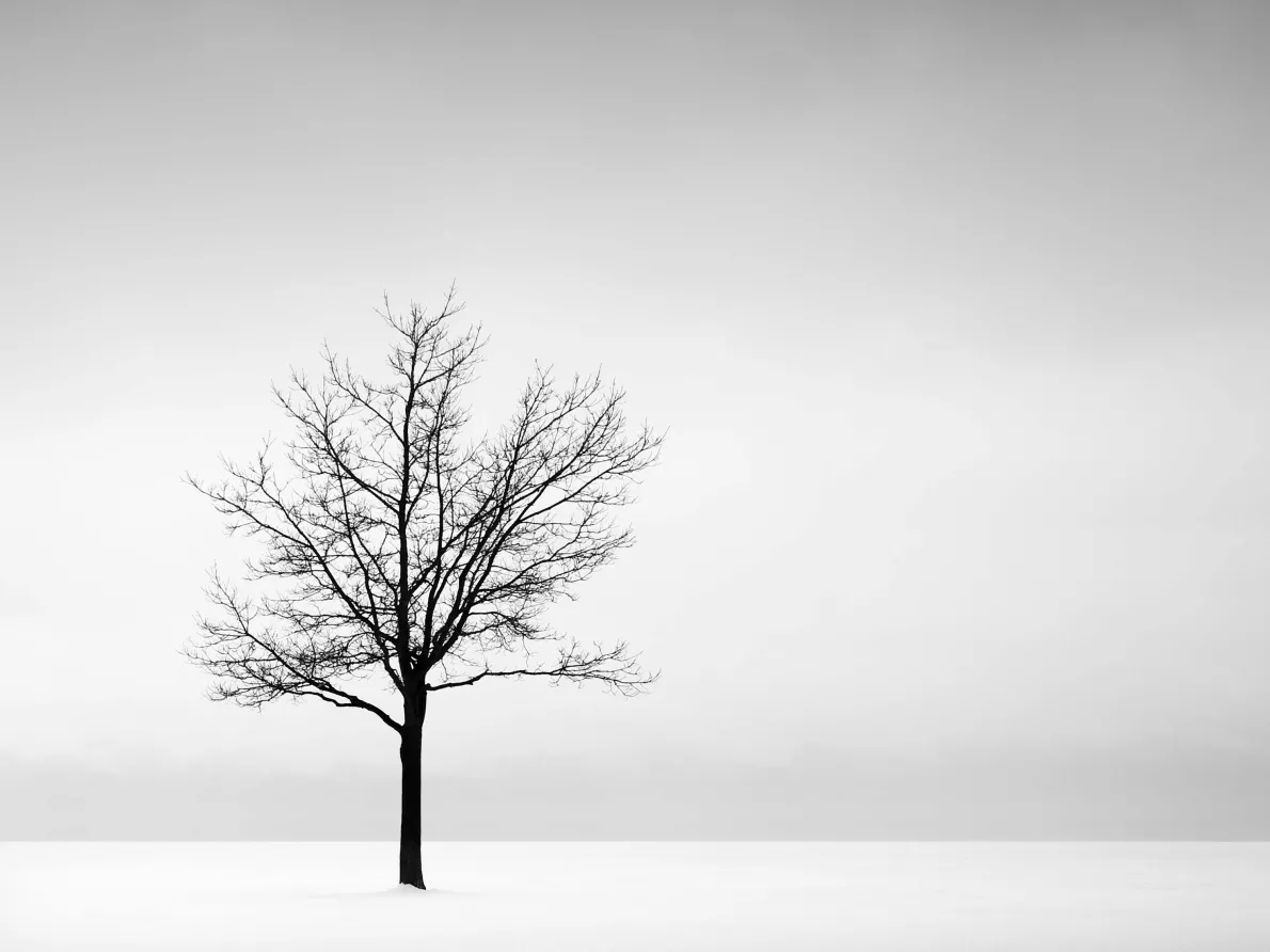 Solitude: Metro Beach, Michigan, Lake St. Clair